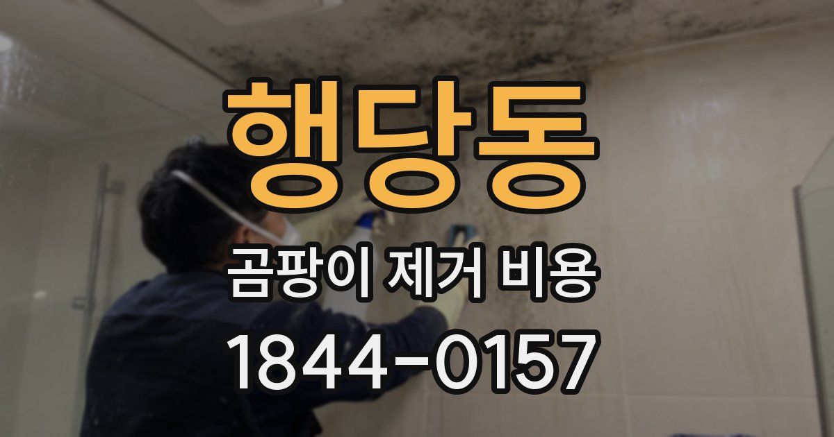 행당동 곰팡이 제거 비용