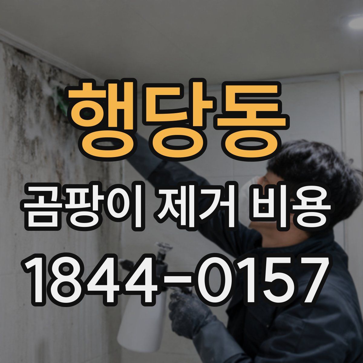 행당동 곰팡이 제거 비용