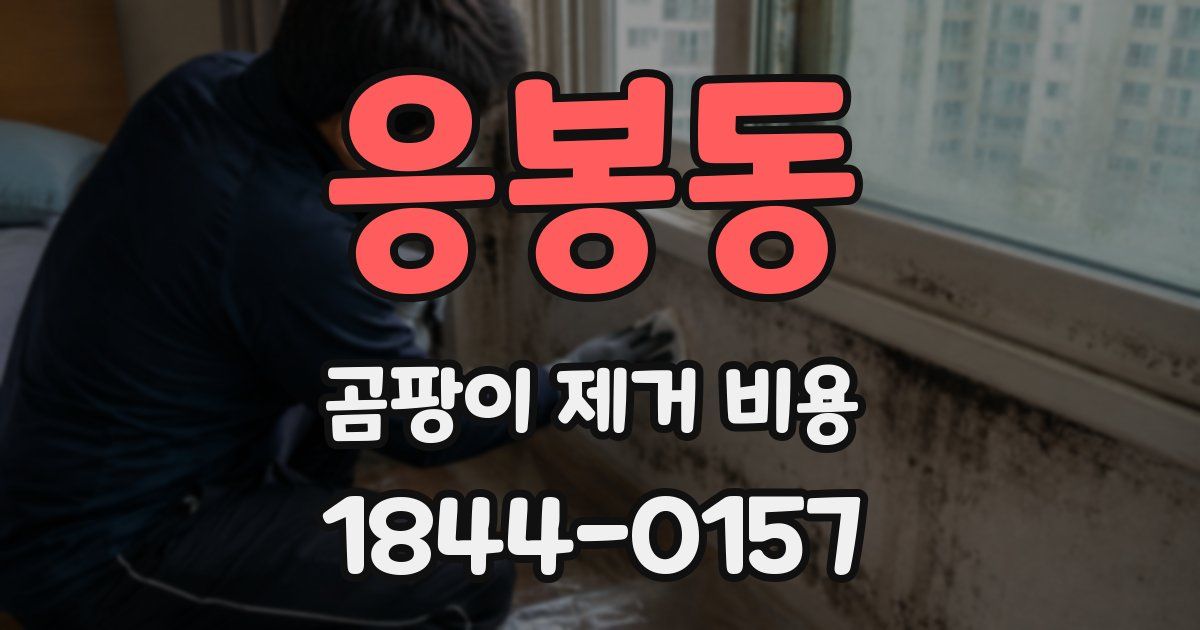 응봉동 곰팡이 제거 비용