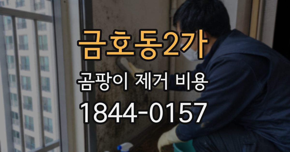 금호동2가 곰팡이 제거 비용