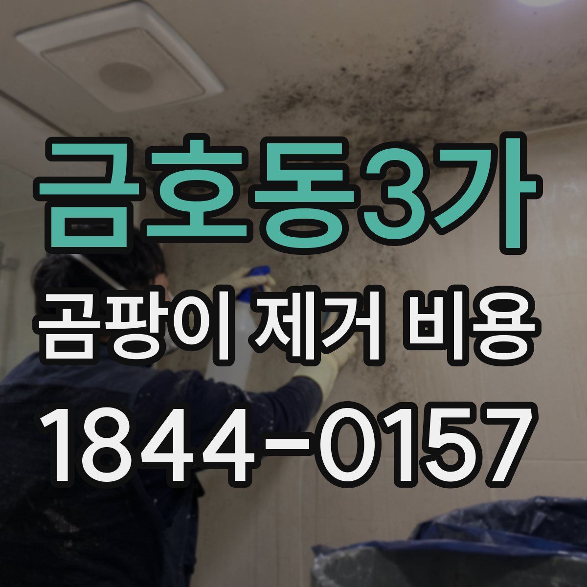 금호동3가 곰팡이 제거 비용