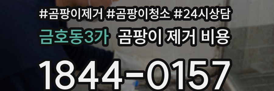 금호동3가 곰팡이 제거 비용