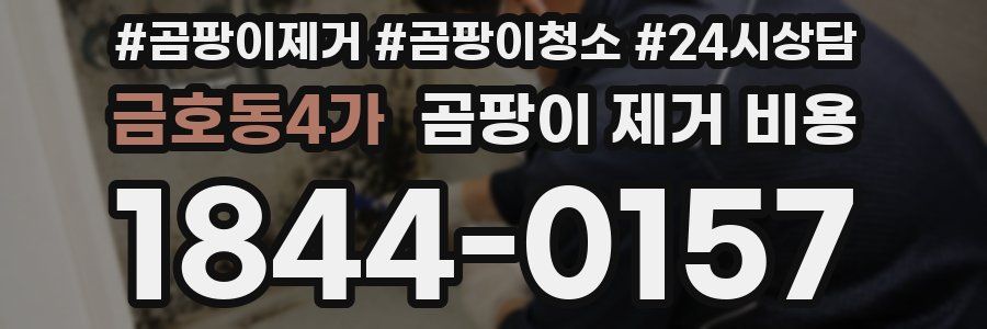 금호동4가 곰팡이 제거 비용