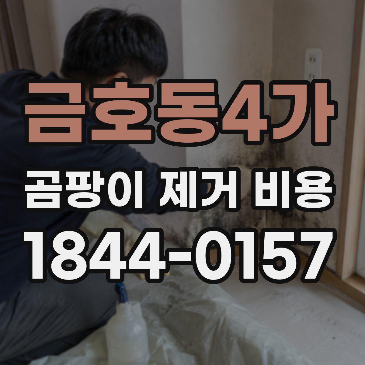 금호동4가 곰팡이 제거 비용
