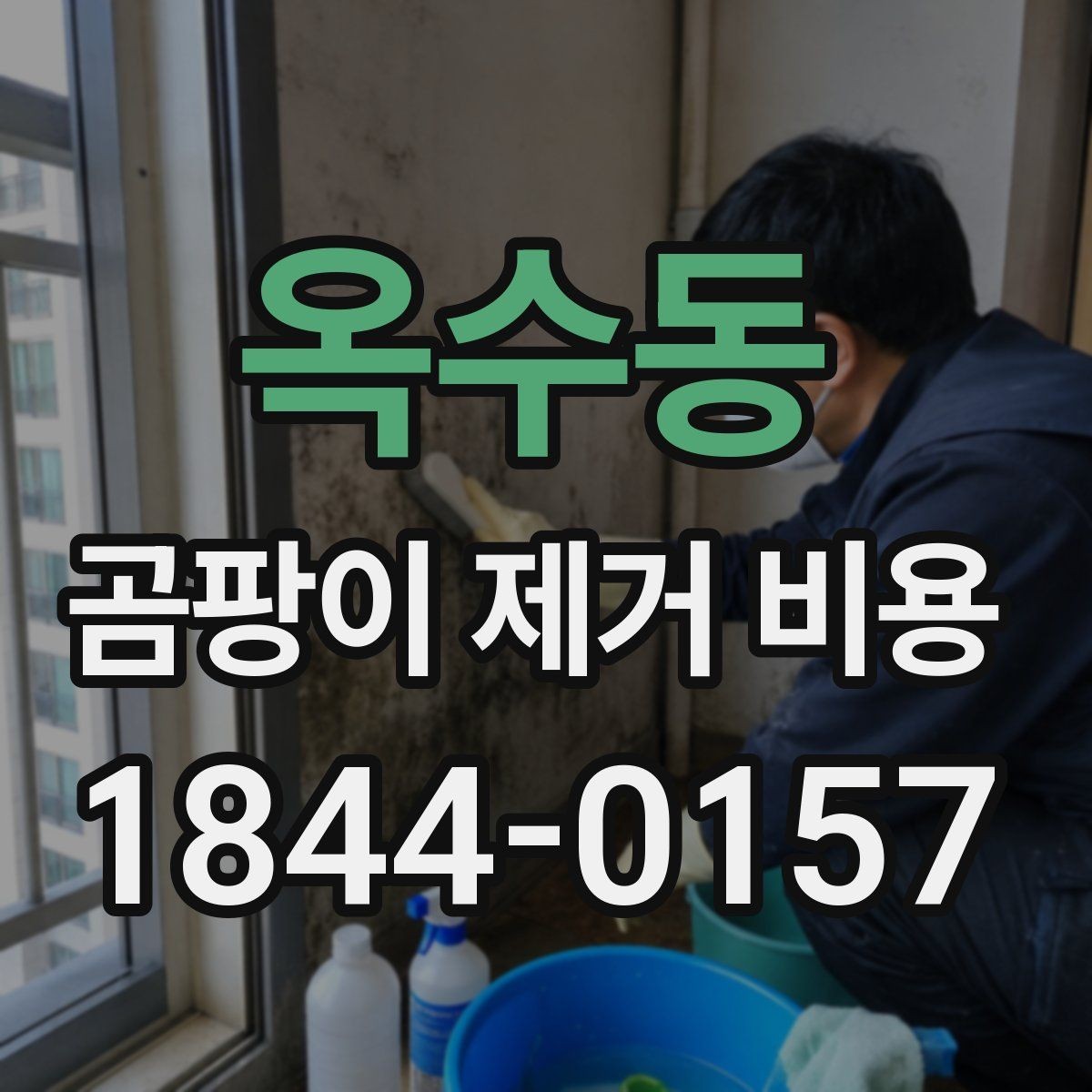 옥수동 곰팡이 제거 비용 누수 흔적과 곰팡이 번식 상태를 함께 보는 법