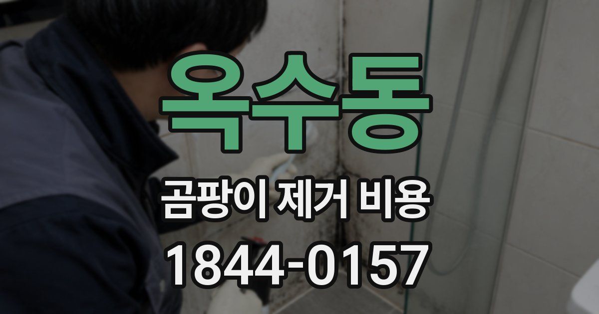 옥수동 곰팡이 제거 비용