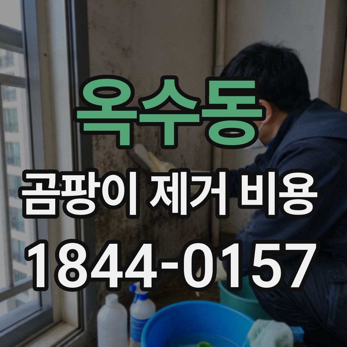 옥수동 곰팡이 제거 비용