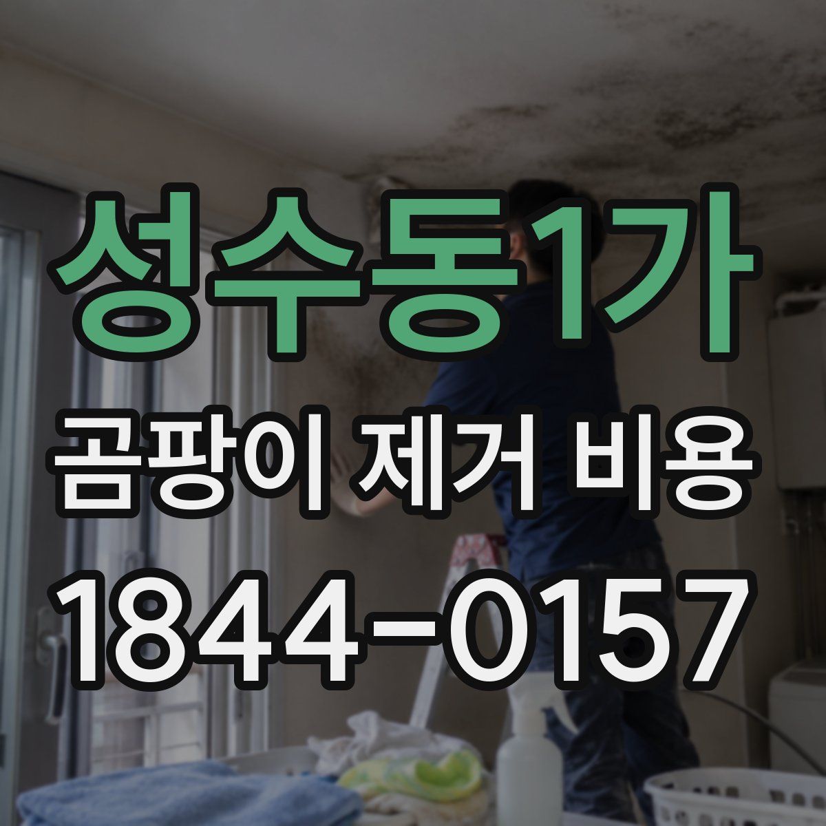 성수동1가 곰팡이 제거 비용