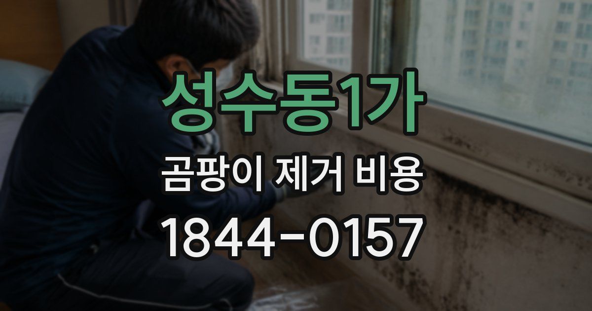 성수동1가 곰팡이 제거 비용