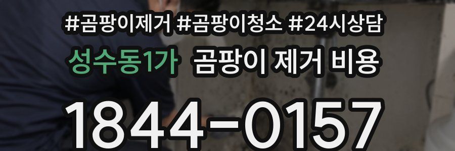 성수동1가 곰팡이 제거 비용