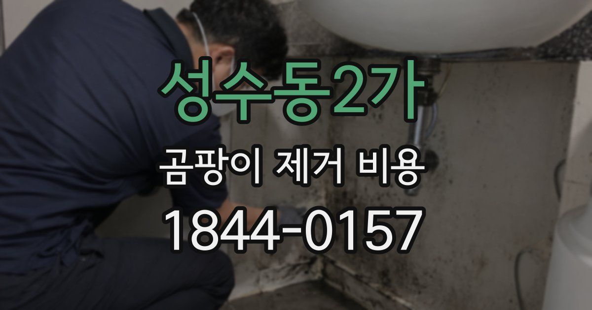 성수동2가 곰팡이 제거 비용