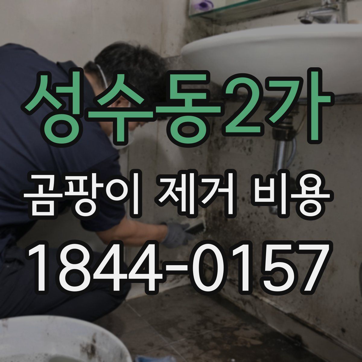 성수동2가 곰팡이 제거 비용