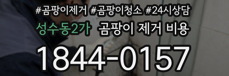 성수동2가 곰팡이 제거 비용