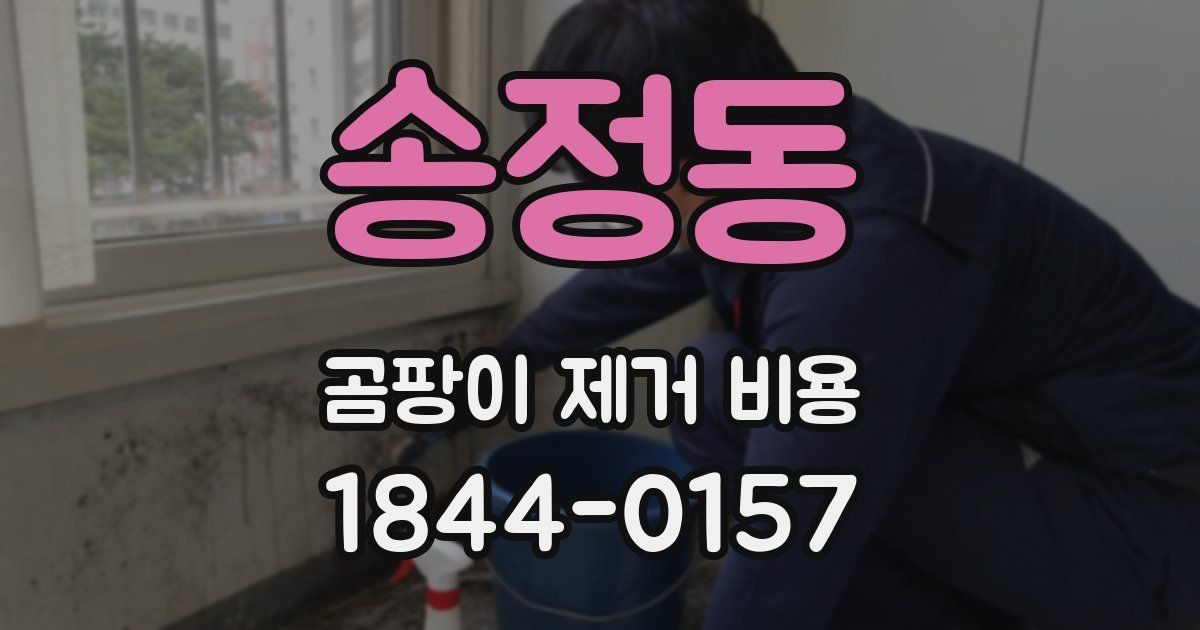 송정동 곰팡이 제거 비용
