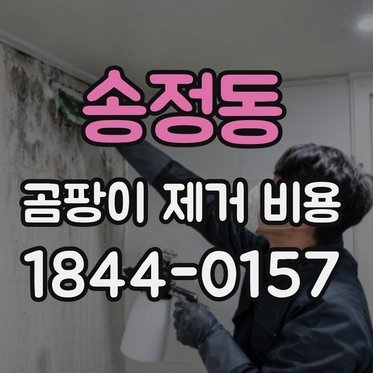 송정동 곰팡이 제거 비용