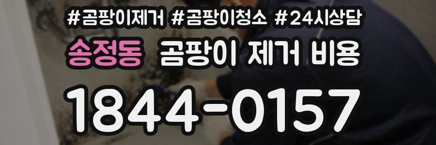 송정동 곰팡이 제거 비용