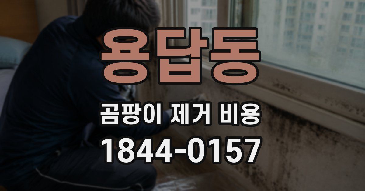 용답동 곰팡이 제거 비용