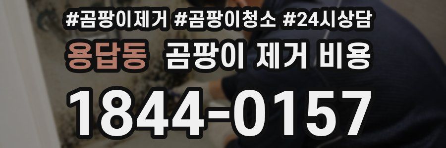 용답동 곰팡이 제거 비용