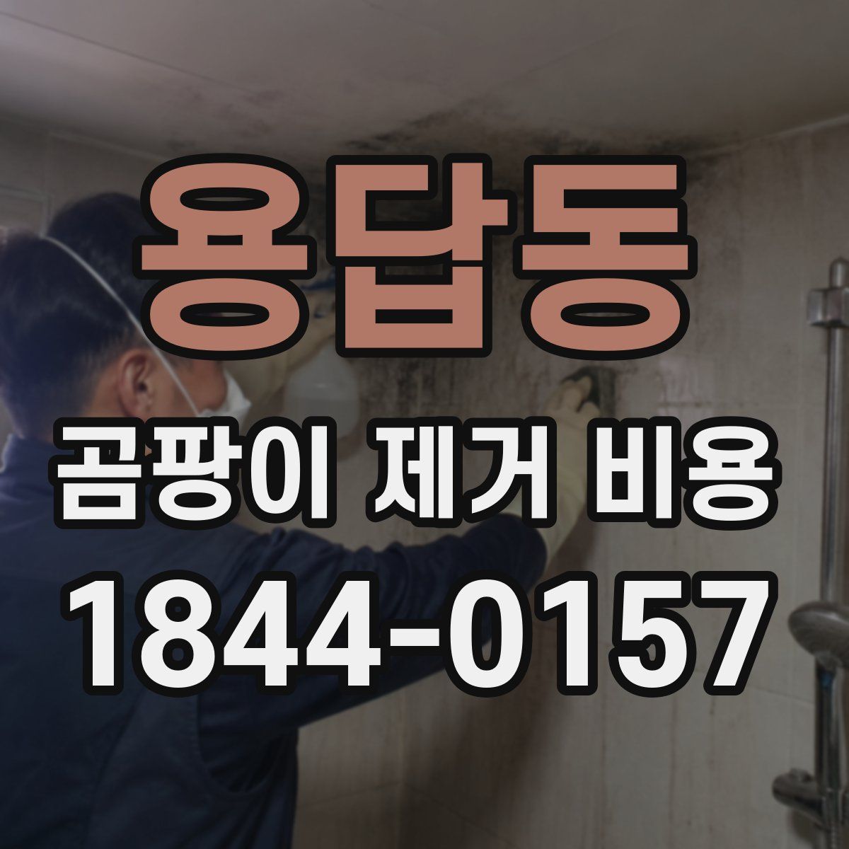 용답동 곰팡이 제거 비용