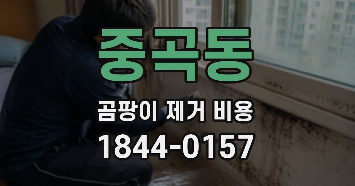 중곡동 곰팡이 제거 비용