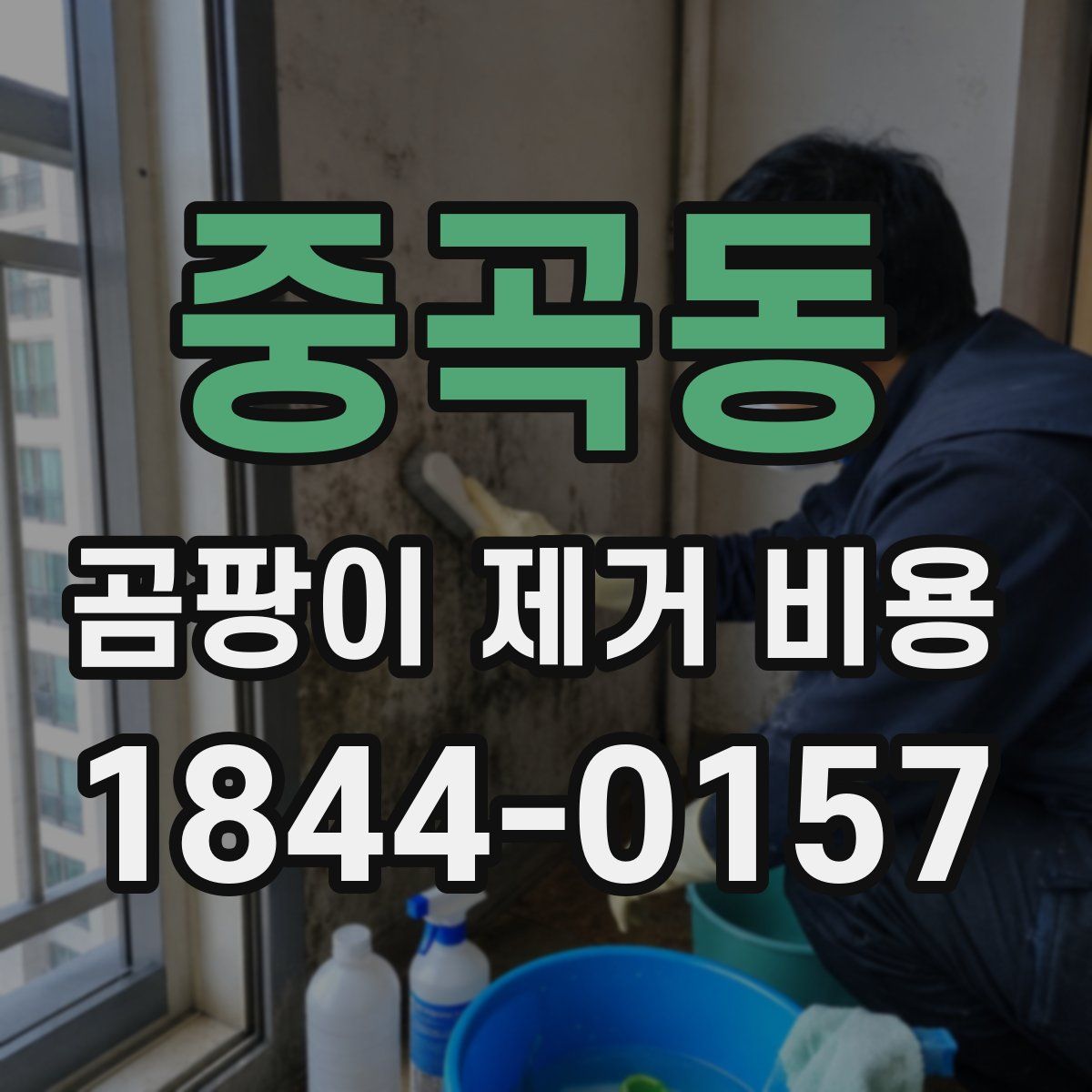 중곡동 곰팡이 제거 비용