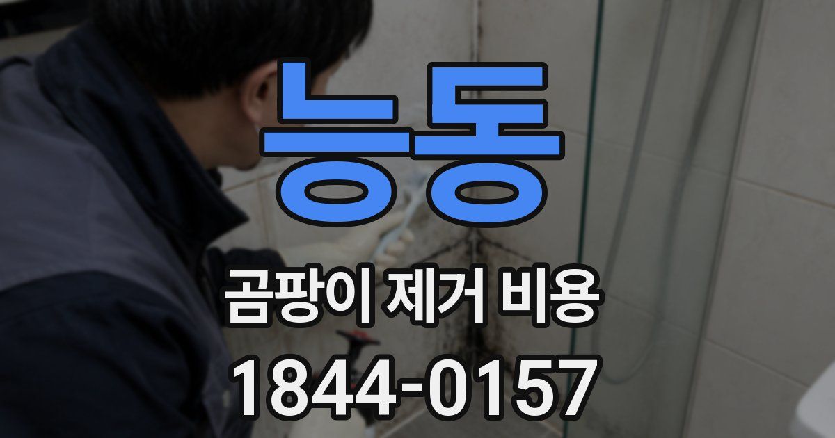 능동 곰팡이 제거 비용