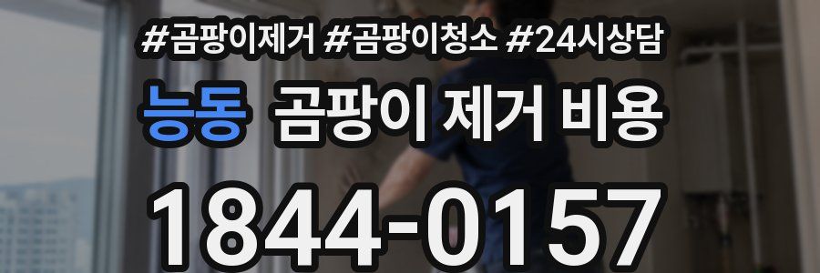 능동 곰팡이 제거 비용