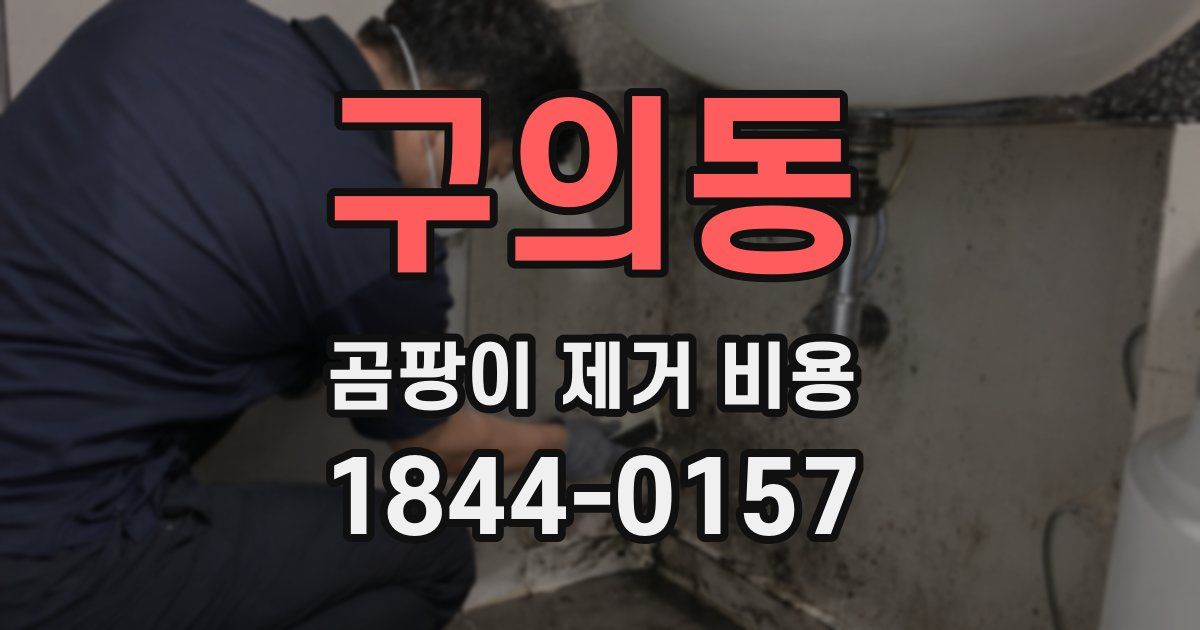 구의동 곰팡이 제거 비용