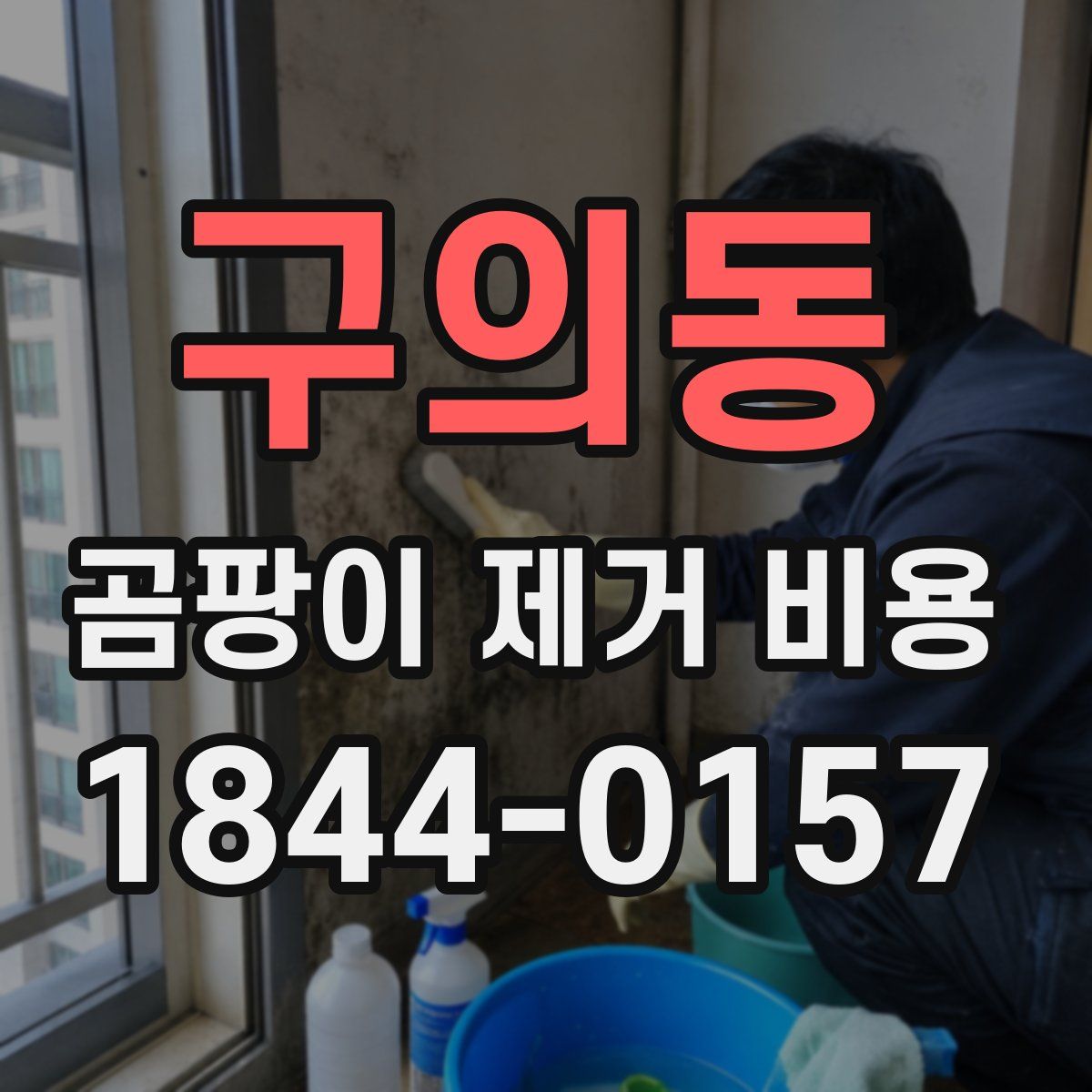 구의동 곰팡이 제거 비용