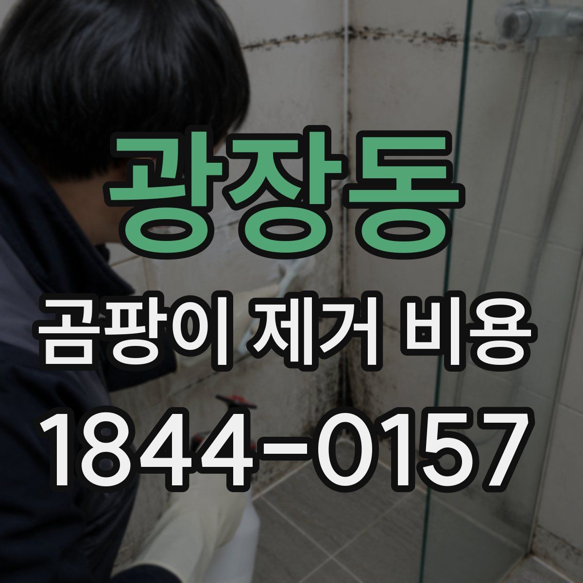 광장동 곰팡이 제거 비용