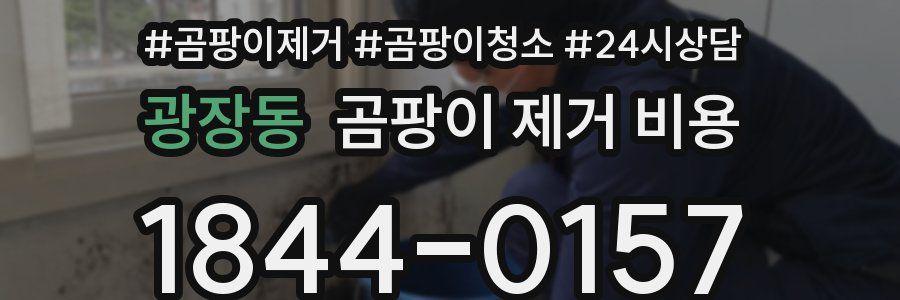 광장동 곰팡이 제거 비용