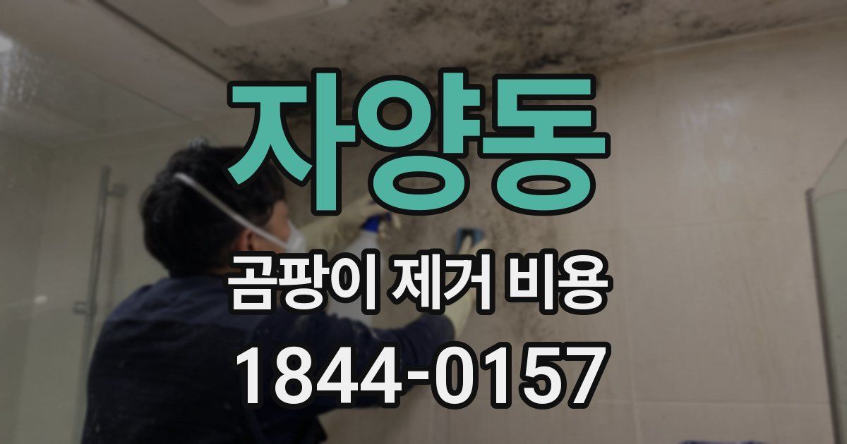 자양동 곰팡이 제거 비용