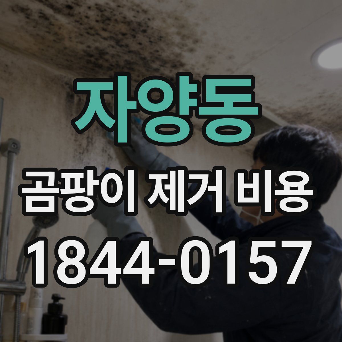 자양동 곰팡이 제거 비용