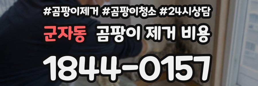 군자동 곰팡이 제거 비용