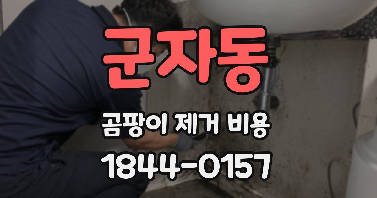 군자동 곰팡이 제거 비용