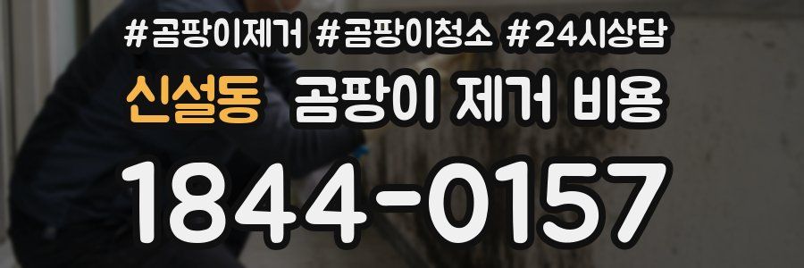 신설동 곰팡이 제거 비용