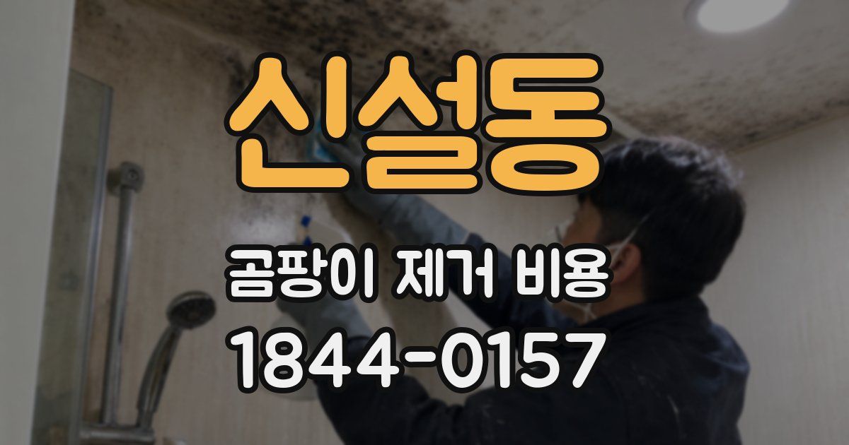 신설동 곰팡이 제거 비용