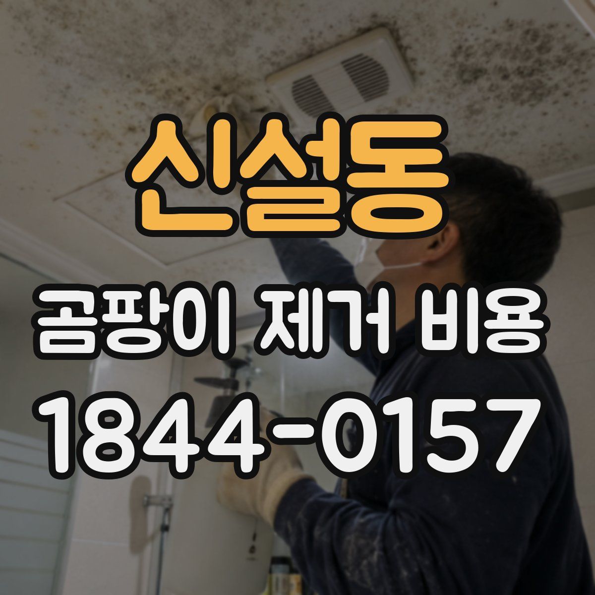 신설동 곰팡이 제거 비용