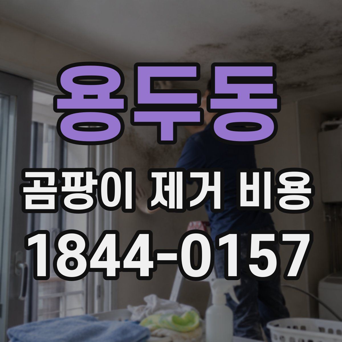 용두동 곰팡이 제거 비용