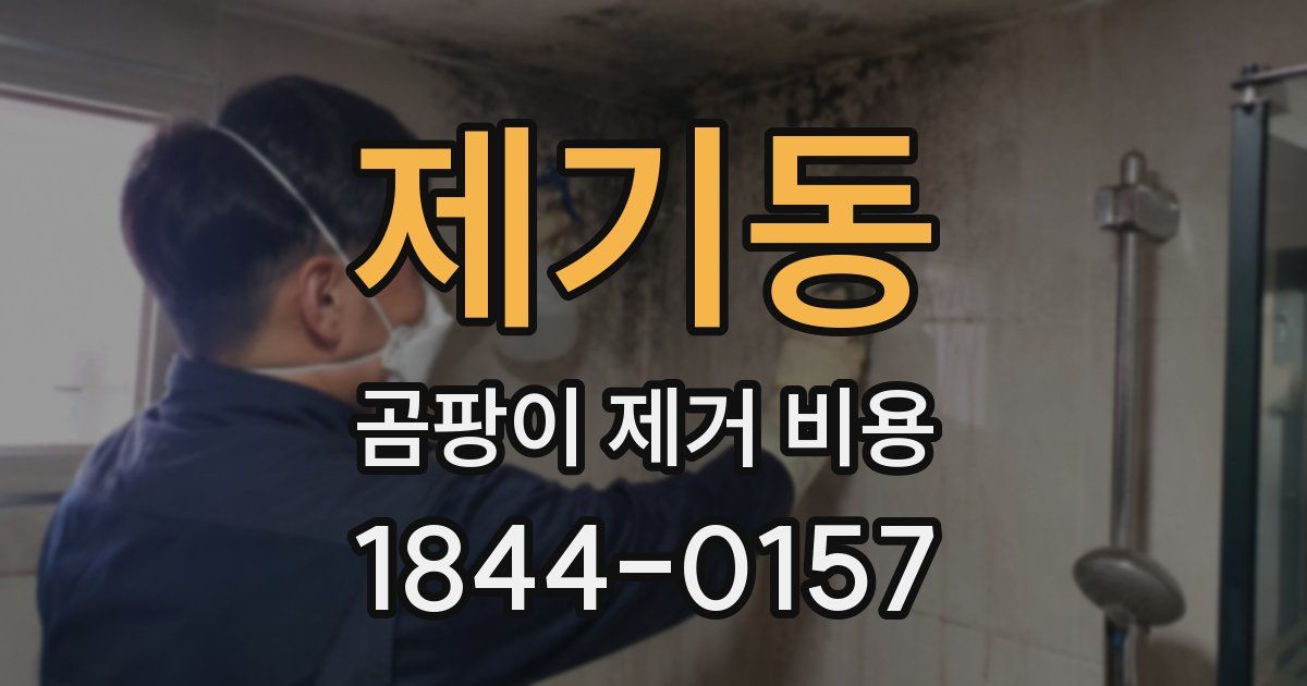 제기동 곰팡이 제거 비용
