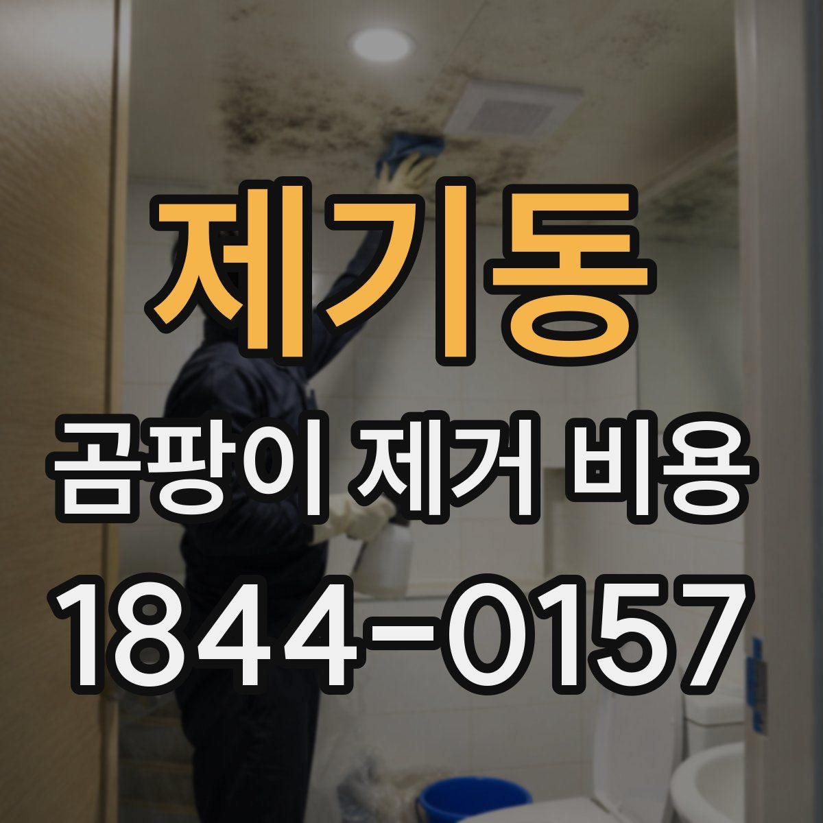제기동 곰팡이 제거 비용