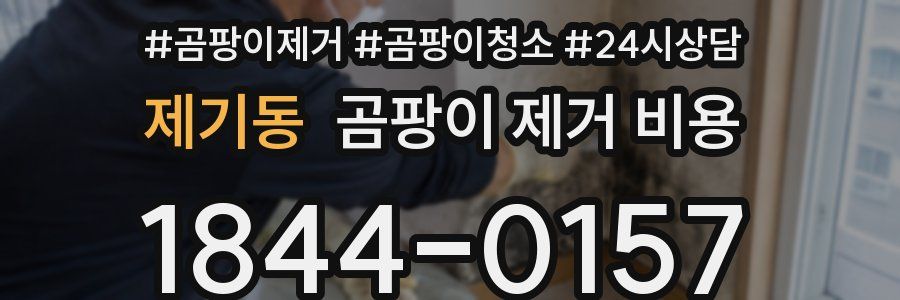 제기동 곰팡이 제거 비용