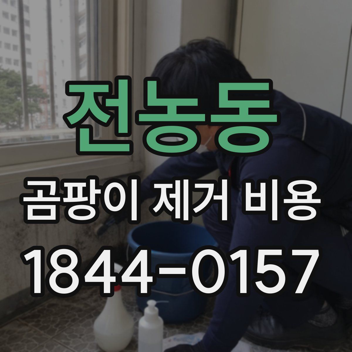 전농동 곰팡이 제거 비용