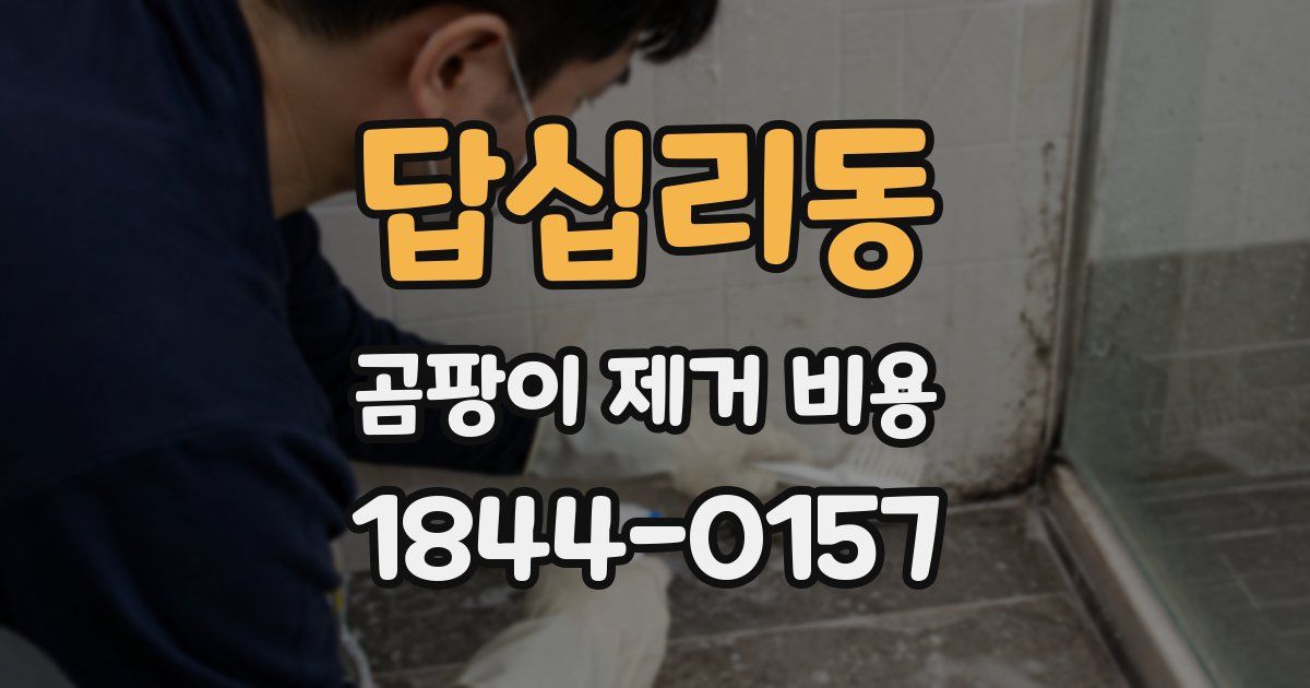 답십리동 곰팡이 제거 비용