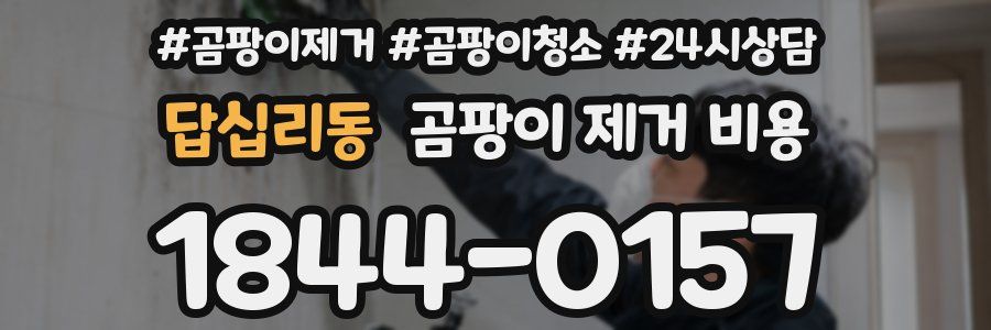 답십리동 곰팡이 제거 비용