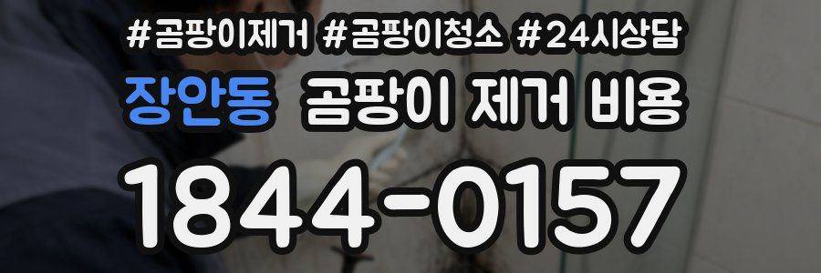 장안동 곰팡이 제거 비용