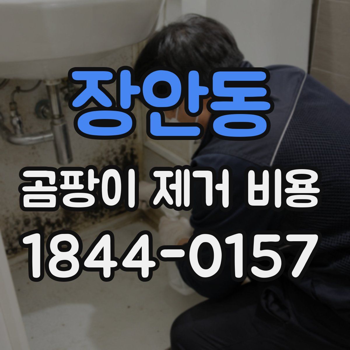 장안동 곰팡이 제거 비용