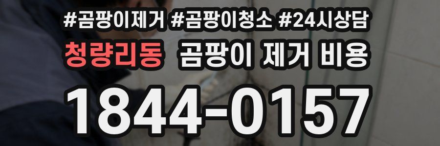 청량리동 곰팡이 제거 비용