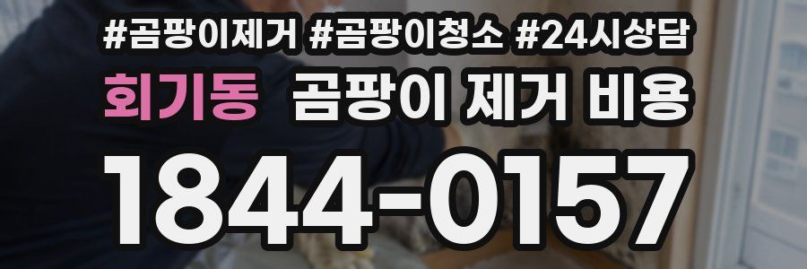 회기동 곰팡이 제거 비용