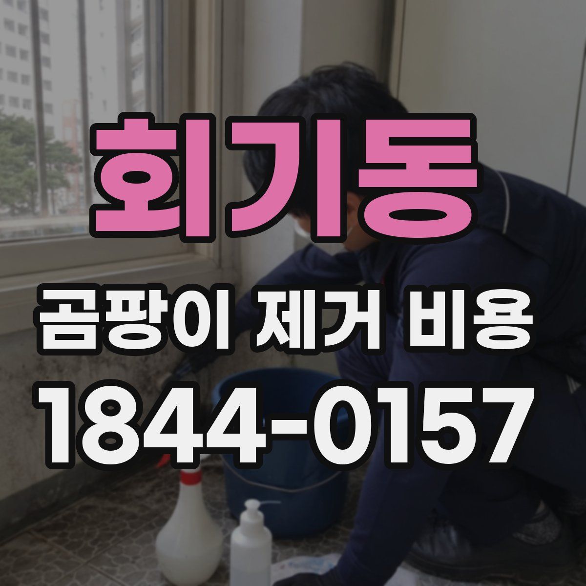회기동 곰팡이 제거 비용